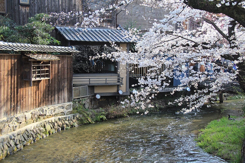 京都 パパ活