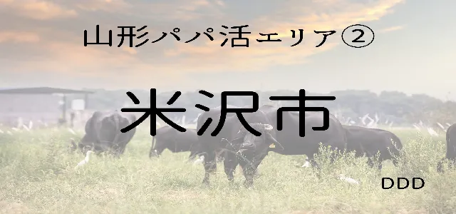 パパ活 男性 山形県 米沢市