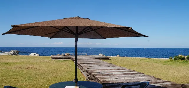 パパ活 男性 福井県 cafe Mare