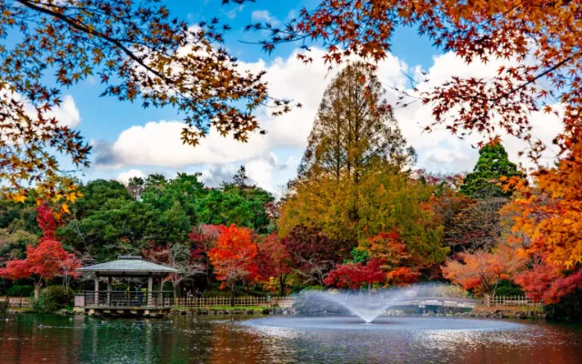 パパ活 富山 男性 高岡古城公園周辺カフェ