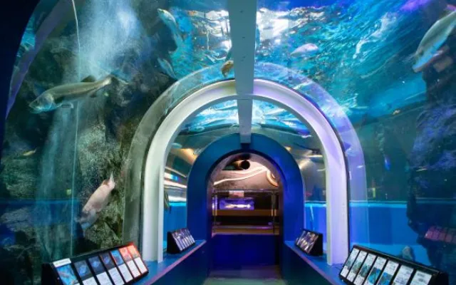 パパ活 富山 男性 魚津水族館